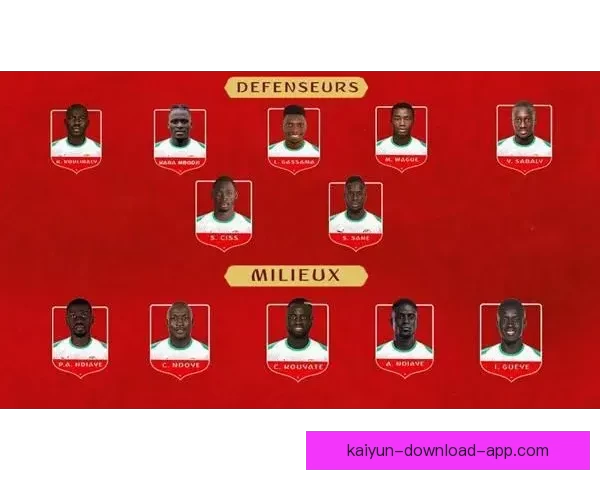 世界杯竞猜盘口分析与趋势解读助您精准预测赛事结果